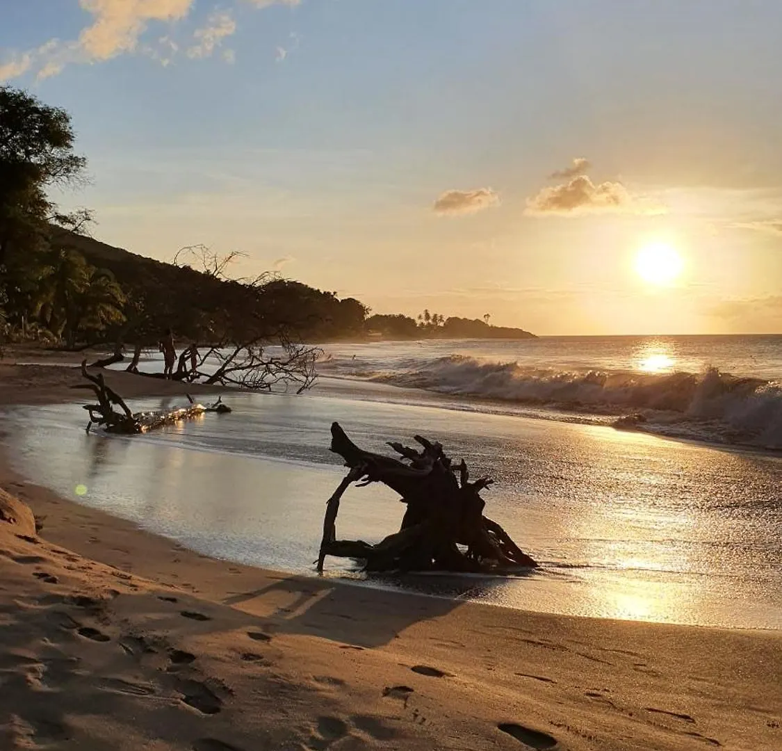 A Deux Pas De La Plage, La Perle! Vue Panoramique Villa Deshaies